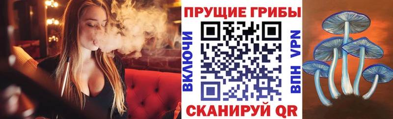 Псилоцибиновые грибы Magic Shrooms Купить где Лобня